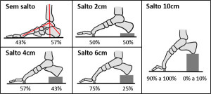 2. Distribuição de peso em diferentes alturas de salto.